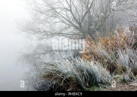 Un terribilmente freddo inverno mattina a Colwick Park di NOTTINGHAM, NOTTINGHAMSHIRE REGNO UNITO Inghilterra Foto Stock