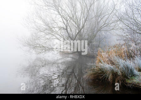 Un terribilmente freddo inverno mattina a Colwick Park di NOTTINGHAM, NOTTINGHAMSHIRE REGNO UNITO Inghilterra Foto Stock