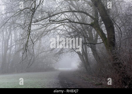 Un terribilmente freddo inverno mattina a Colwick Park di NOTTINGHAM, NOTTINGHAMSHIRE REGNO UNITO Inghilterra Foto Stock