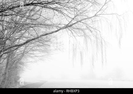 Un terribilmente freddo inverno mattina a Colwick Park di NOTTINGHAM, NOTTINGHAMSHIRE REGNO UNITO Inghilterra Foto Stock