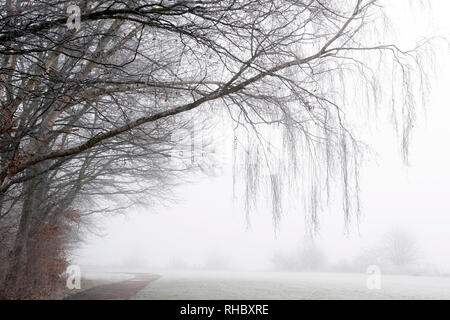 Un terribilmente freddo inverno mattina a Colwick Park di NOTTINGHAM, NOTTINGHAMSHIRE REGNO UNITO Inghilterra Foto Stock