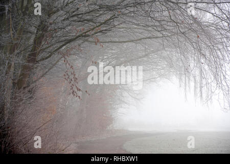 Un terribilmente freddo inverno mattina a Colwick Park di NOTTINGHAM, NOTTINGHAMSHIRE REGNO UNITO Inghilterra Foto Stock