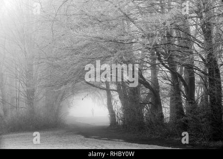 Un terribilmente freddo inverno mattina a Colwick Park di NOTTINGHAM, NOTTINGHAMSHIRE REGNO UNITO Inghilterra Foto Stock