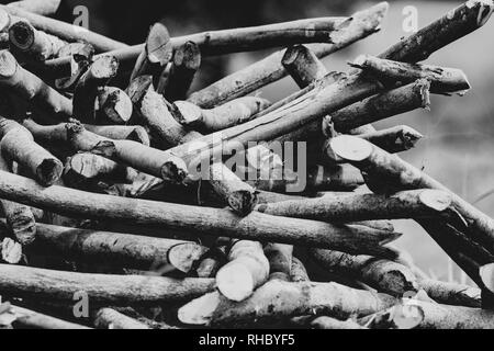 Chiudere su un palo di legno tagliati dai tronchi e rami Foto Stock