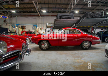 1964 Alfa Romeo Giulia SS italiano classico sport coupe Foto Stock