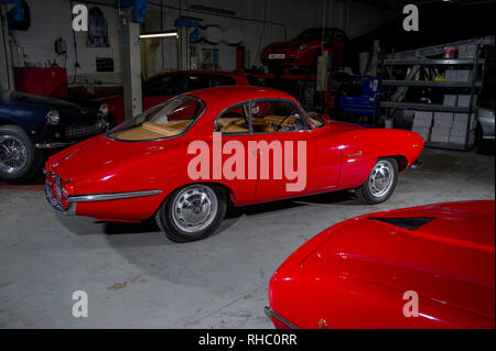 1964 Alfa Romeo Giulia SS italiano classico sport coupe Foto Stock