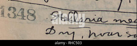 . Prenota n. 1, H.A. Allard, Campo collezione provino n. 1-1710. La botanica; i botanici. 3, '?S6&GT; JL U50 " 1 : ; 1£! &Lt;4. 7 ettari".ojuuc^ci 5^ w^J/^vLL-u i ^^^^ - ,   ^ , V?. Si prega di notare che queste immagini vengono estratte dalla pagina sottoposta a scansione di immagini che possono essere state migliorate digitalmente per la leggibilità - Colorazione e aspetto di queste illustrazioni potrebbero non perfettamente assomigliano al lavoro originale. Allard, H. A. (Harry Ardell), 1880-1963. Foto Stock