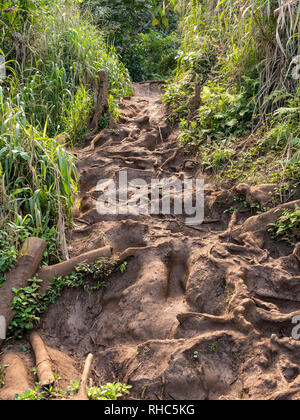 Molto difficile cammino di Queens bagno sulla costa vicino a Princeville Kauai Foto Stock