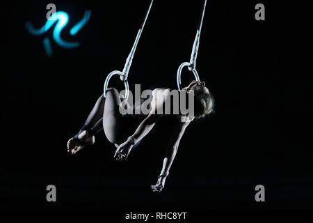 Kiev, Ucraina. 01 feb 2019. Artisti circensi visto eseguendo su di una oscillazione durante lo spettacolo. Il nuovo show internazionale 'Bianco e Nero' di tedesco moderno circus al nazionale ucraina Circus a Kiev in Ucraina. Lo spettacolo andrà in scena dal 2 febbraio fino al 21 aprile. Credito: SOPA Immagini limitata/Alamy Live News Foto Stock