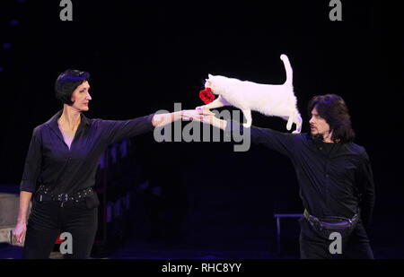 Kiev, Ucraina. 01 feb 2019. Artisti circensi visto eseguendo con cani durante lo spettacolo. Il nuovo show internazionale 'Bianco e Nero' di tedesco moderno circus al nazionale ucraina Circus a Kiev in Ucraina. Lo spettacolo andrà in scena dal 2 febbraio fino al 21 aprile. Credito: SOPA Immagini limitata/Alamy Live News Foto Stock