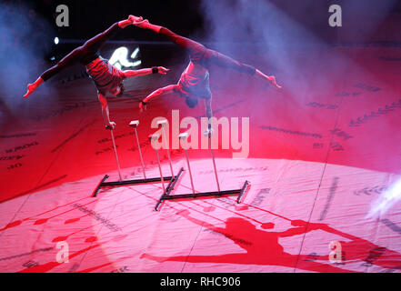 Kiev, Ucraina. 01 feb 2019. Artisti circensi visto eseguire durante lo spettacolo. Il nuovo show internazionale 'Bianco e Nero' di tedesco moderno circus al nazionale ucraina Circus a Kiev in Ucraina. Lo spettacolo andrà in scena dal 2 febbraio fino al 21 aprile. Credito: SOPA Immagini limitata/Alamy Live News Foto Stock