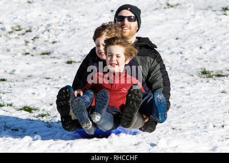 Chippenham, Wiltshire, Regno Unito. 2 febbraio 2019. Un uomo e due bambini godendo la neve prima che si scioglie sono illustrati in un parco locale in Chippenham come essi scorrono in discesa su una slitta. Credito: Lynchpics/Alamy Live News Foto Stock