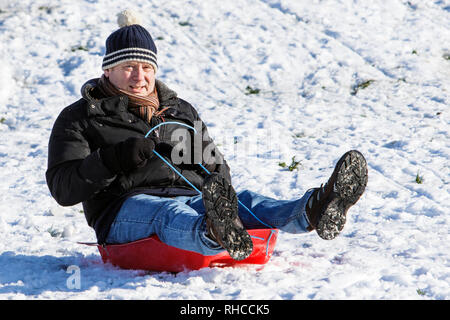 Chippenham, Wiltshire, Regno Unito. 2 febbraio 2019. Un uomo godendo la neve prima che si scioglie è raffigurato in un parco locale in Chippenham come lui scorre giù per una collina su una slitta. Credito: Lynchpics/Alamy Live News Foto Stock