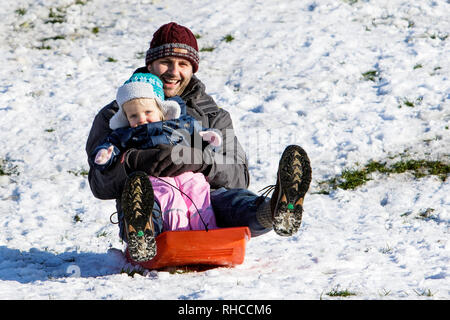 Chippenham, Wiltshire, Regno Unito. 2 febbraio 2019. Un genitore e bambino godendo la neve prima che si scioglie sono illustrati in un parco locale in Chippenham come essi scorrono in discesa su una slitta. Credito: Lynchpics/Alamy Live News Foto Stock