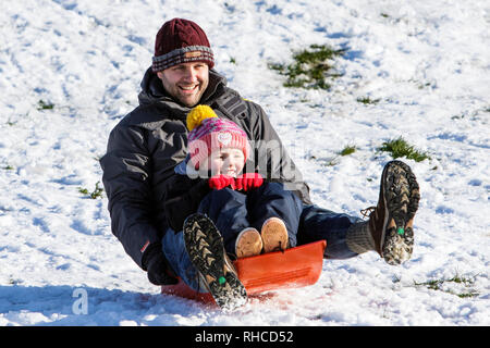 Chippenham, Wiltshire, Regno Unito. 2 febbraio 2019. Un uomo e un bambino godendo la neve prima che si scioglie sono illustrati in un parco locale in Chippenham come essi scorrono in discesa su una slitta. Credito: Lynchpics/Alamy Live News Foto Stock