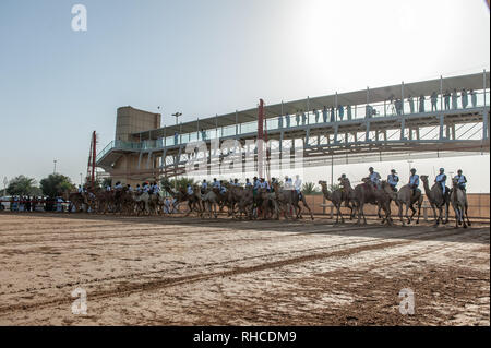 DUBAI, UAE, 2° febbraio 2019. Fantini iniziare la gara finale del 2019 Principe della Corona di Dubai Camel Festival di gara. Questa è la seconda edizione del festival annuale, svoltasi sotto il patrocinio di Sua Altezza lo Sceicco Hamdan Bin Mohammed Bin Rashid Al Maktoum; il Principe della Corona di Dubai Credito: Feroz Khan/Alamy Live News Foto Stock