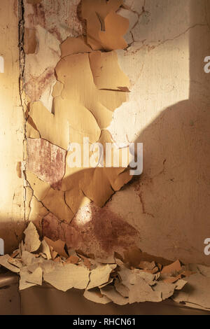 Guerra Pre-World II strati di vernice peel off vecchia intonaco in una casa in stile Regency di essere rinnovato - Pericolo di avvelenamento da piombo Foto Stock