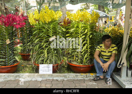 Mercato dei fiori in Ho Chi Minh, Vietnam Foto Stock