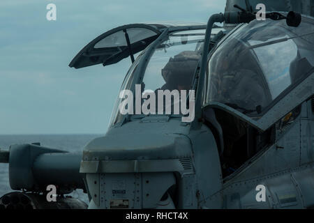 Un Marine aviatore Navale con Marine mezzo squadrone Tiltrotor 262 (rinforzato) esegue la pre-volo controlli all'interno di un AH-1Z Super elicottero Cobra in cima al ponte di volo del trasporto anfibio USS dock Green Bay (LPD 20) durante le operazioni di volo in mare, Gennaio 19, 2019. VMM-262 (Rein.) è il combattimento aereo elemento per il trentunesimo Marine Expeditionary Unit. Il trentunesimo MEU, il Marine Corps' solo in modo continuo distribuita MEU collaborando con la Vespa Anfibia Gruppo pronto, fornisce una soluzione flessibile e forza letale pronto per eseguire una vasta gamma di operazioni militari come la Premier risposta in caso di crisi per Foto Stock