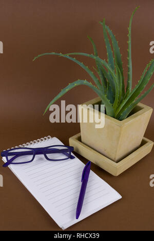 Aloe vera piante succulente in vasi in calcestruzzo di colore giallo pot, bicchieri,pen e aperto il notebook con il foglio vuoto Foto Stock