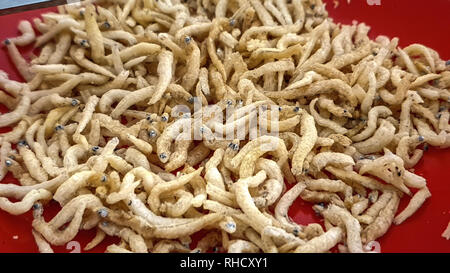 Deliziosa acciuga su una piastra è pronto per essere servito Foto Stock