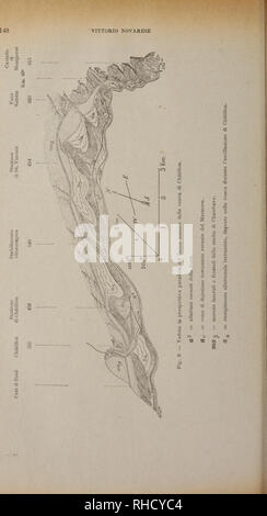 . Bollettino del R. Comitato geologico d'Italia.. La geologia. . Si prega di notare che queste immagini vengono estratte dalla pagina sottoposta a scansione di immagini che possono essere state migliorate digitalmente per la leggibilità - Colorazione e aspetto di queste illustrazioni potrebbero non perfettamente assomigliano al lavoro originale. R. Comitato geologico d'Italia. [Firenze] : Il Comitato Leonardo Foto Stock