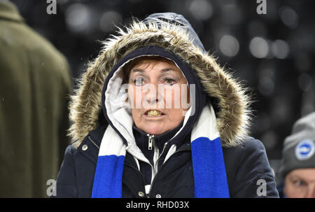 Ventilatori a snowy Craven Cottage durante il match di Premier League tra Fulham e Brighton & Hove Albion a Craven Cottage . 29 Gennaio 2019 solo uso editoriale. No merchandising. Per le immagini di calcio FA e Premier League restrizioni si applicano inc. no internet/utilizzo mobile senza licenza FAPL - per i dettagli contatti Football Dataco Foto Stock