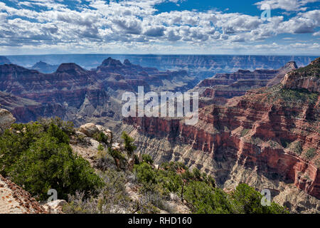 Il Grand Canyon, Bright Angel Point, North Rim, Arizona, USA, America del Nord Foto Stock