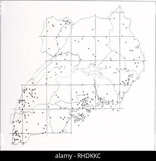 . Bonner zoologische Monographien. Zoologia. THORN &AMP; CURBIS PETERHANS, piccoli mammiferi DI UGANDA località di esemplari studiati.. 125. Si prega di notare che queste immagini vengono estratte dalla pagina sottoposta a scansione di immagini che possono essere state migliorate digitalmente per la leggibilità - Colorazione e aspetto di queste illustrazioni potrebbero non perfettamente assomigliano al lavoro originale. Bonn, Zoologisches Forschungsinstitut und Museum Alexander Koenig Foto Stock