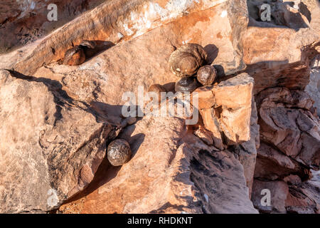 Moki moqui marbls alla Spencer piatto, Utah Foto Stock