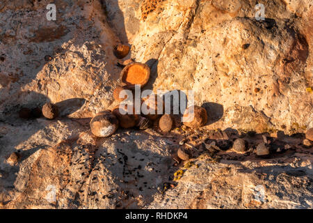 Moqui marbls alla Spencer piatto, Utah Foto Stock