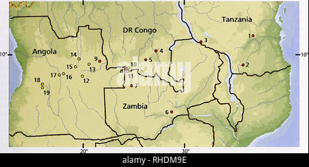 . Bonn bollettino zoologico. Zoologia. Nuovi dati di Tetradactylus ellenbergeri e Trachyiepis ivensii nel nordest dello Zambia 37 20° 30°. Fig. 2. Distribuzione di Tetradactylus ellenbergeri e Trachyiepis ivensii. T. ellenbergeri. 1= Tanzania: Gendawaki Valley, Udzung- wa montagne (Menegon et al. 2006). 2= Tanzania: Tatanda (Spawls et al. 2002). 3= Tanzania: Songea (Spawls et al. 2002). 4= RD del Congo: Kundelungu (Broadley 1971). 5= RD del Congo: Kansenia (Broadley 1971). 6= Zambia: Chongwe River (Broadley 1971). 7= Zambia: Lunga Game Reserve (Broadley 1971). 8= Zambia: Ikelenge area. 9= Angola: Lunda Foto Stock