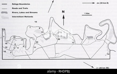 . Bonner zoologische Monographien. Zoologia. RAPPOl L. RA NC-I- CHANCI WIONC Nl VC'ORI I) tropicale e subtropicale uccelli Couchs Kingbird Tyrannuscouchii-Ten località sono state trovate nel corso dello studio, cinque dei quali (#1,3,4,9,10, Fig. 5) erano occupati da coppie nel 2007, 2008 e 2009. Entrambi i membri di una coppia (#4, Fig. 5) erano rifasciato nel 2008 e osservato nuovamente nel 2009. Gli individui hanno risposto alla riproduzione (chiamata, approccio) presso i siti n. 3 e n. 4. Le foto sono state scattate presso il sito di cono in aprile 2008 e 2009 (tabella 1). Green Jay Cyanocoraxyncas - Gruppi di questa spe- cies erano visto o sentito a 25 s Foto Stock