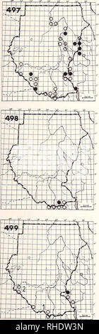 . Bonner zoologische Monographien. Zoologia. * 163. 497 filo-tailed Swallow (1061) Hirundo smithii smithii R? BR 9, 11, 2-4 insolito locale e quasi sempre intorno a fiumi 498 bianco-guidato rough-ALA (1080) Psalidoprocne albiceps albiceps R LM? BR 8, 9 comuni di foreste e dei bordi fino a 3000m 499 ruvida nera-ALA (1076/1077) Psalidoprocne pristoptera ) P. p. oleaginea R? LM NBR raro margini di boschi e bosco meglio 2) P. p. chalybea? R? LM? NBR raro bosco meglio, le foreste a galleria 500 Nastrare Martin (1070) nessuna mappa Riparia cincta erlangeri/suahelica LM? AM? (5-7) NBR raro bussola aperta Foto Stock