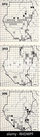 . Bonner zoologische Monographien. Zoologia. 133. MEROPIDAE - I GRUCCIONI 392 bianco-throated Gruccione (486) Merops albicollis LM AM BR 7, 8 molto comune nel nord, frequentando aperto savana di acacia - abbastanza comune non-allevamento visitatori lungo il confine meridionale del bosco e margini di boschi Commento: uccelli sposta a nord di razza durante la stagione delle piogge 393 Eurasian Gruccione (486) Merops apiaster PM (8-11, 3-5) A S comune bussola aperto savana, boschi, coltivazioni Commento: grandi numeri in autunno e primavera migrazione specialmente nel Nord 394 a testa nera Gruccione (W447) nessuna mappa Merops breweri R? NBR Foto Stock