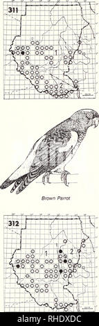 . Bonner zoologische Monographien. Zoologia. 108. 310 Niam Niam Parrot (446) Nessuna mappa Poicephalus crasso R NBR foreste rare Commento: solo alcuni record dall'area di Yambio 4/28 (Woodman 1938). Poco noto 311 Brown Parrot (449) Poicephalus meyeri ) P. m. meyeri R BR 10-12 abbastanza comune boschi di acacia e di savana ad albero 2) P m. saturatus R NBR abbastanza comune meglio savana boscosa Commento: non è chiaro se Bahr el Ghazal uccelli sono nominare o saturatus 312 Rose-inanellati Parrakeet (450) Psittacula krameri 1) P k. krameri R BR 8-11 abbastanza comune in Nord, più a livello locale nel sud di qualsiasi tipo o Foto Stock