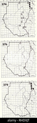 . Bonner zoologische Monographien. Zoologia. 98. (Roseate Tern 352) Nessuna mappa Sterna dougallii dougallii non vi sono record definito per il Sudan anche se si è registrato in Egitto e in Etiopia. 275 Fuligginosa Tern (358) Nessuna mappa Sterna fuscata (fuscata) AM? NBR rari, vagabonda habitat httoral Commento: un record da Mohamed Qol 20/37 in agosto 1982 (Nikolaus 1984 a) 276 Common Tern (351) Sterna hirundo PM (8-10, 4-5) A S raro; rari litorale terrestre habitat, grandi fiumi 277 Arctic Tern nessuna mappa Sterna paradisaea PM (5) S vagrant? Il litorale di habitat e grandi fiumi Commento: un uccello adulto è stato inanellato a K Foto Stock