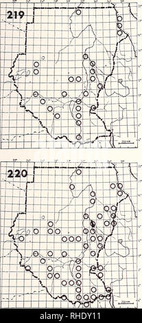 . Bonner zoologische Monographien. Zoologia. 81. 219 Spotted Redshank (316) Tringa erythropus PM (8-4) W non comuni rare, localmente allagata comune vegetazione, fiumi di sabbia e fango- dy coast commento: generalmente in singolo, ma fino a qualche centinaio di inverno a Aweil schema di riso a partire dal mese di agosto in poi 220 Wood Sandpiper (314) Tringa glareola PM (7-5) A W S comune praterie palustri, qualsiasi wetland habitat sul passaggio Commento: alcuni uccelli spostare più a sud a partire da novembre. Un uccello inanellato a Juba è stata recuperata in URSS (66.30N 70.30E). Si prega di notare che queste immagini vengono estratte dalla pagina sottoposta a scansione immagini che m Foto Stock