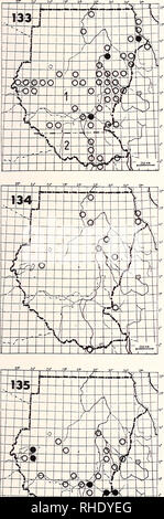 . Bonner zoologische Monographien. Zoologia. 55. 133 Lanner Falcon (113) Falco biarmicus ) F. b. tanypterus LM PM (10-2) BR 1, 2, 3 W abbastanza secca comune aperto savana bush 2) F. b. abyssinicus LM NBR raro aperto savana bush 134 Saker Falcon (121) Falco cherrug cherrug PM (11-3) W rara in aperta campagna con pali telefonici o alberi singoli 135 Rosso Colli di Falcon (122) Falco chicquera ruficollis LM BR 1-4 di solito comune associata con palme Borassus. Si prega di notare che queste immagini vengono estratte dalla pagina sottoposta a scansione di immagini che possono essere state migliorate digitalmente per la leggibilità - Colorazione e aspetto Foto Stock