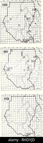 . Bonner zoologische Monographien. Zoologia. 48. 112 Mountain Poiana (165) Buteo oreophilus tachardus LM (8-5) NBR raro highland forest 111 dalle lunghe gambe Poiana (166) o Buteo rufinus rufinus PM (11-3) W raro aperto a secco hill country ? B. r. cirtensis? R NBR raro aperto a secco hill country 110 Comuni (steppa) Poiana (163) Buteo buteo vulpinus PM (10-4) A W S raro tranne sul passaggio di primavera prati boscosi Commento: a partire dalla metà di marzo alla metà di aprile fino a 3000 passare lungo il Mar Rosso al giorno, alcuni l'inverno in Imatong e Didinga Mts.. Si prega di notare che queste immagini vengono estratte dalla scansione di pag Foto Stock