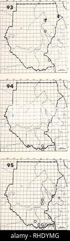 . Bonner zoologische Monographien. Zoologia. 43. 93 Levant Sparviero (175) Accipiter brevipes PM (9-4) A W S raro probabilmente meglio savana boscosa Commento: probabilmente trascurato; notl- ced sul passaggio a Atbara (600) fine Septem- ber (Christensen 1960) e Khor Baraka (30) a fine aprile (Nikolaus 1984 a) facilmente se- parated da Eurasian Sparviero essere- cause esso migra in piccoli greggi, non solo 94 Grande Sparviero (174) Accipiter melanoleucus melanoleucus R NBR raro e savana boscosa e margini di boschi 95 poco Sparviero (170) Accipiter mi ci null min ul mi noi LM NBR raro acaci Foto Stock