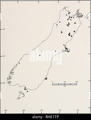 . Bonner zoologische Monographien. Zoologia. 133. La Fig.51: Distribuzione dei membri del genere Naiiltinus nell'Isola del Sud della Nuova Zelanda. Naultinus gemmeiis (cerchi chiusi), un^^ mamikanus (quadrati vuoti), N. poecilochloris (clos- ed i triangoli), N. rudis (quadrati chiusi), TV. stellatiis (rombi chiusi), N. tuberculatiis (cerchio aperto), ha dichiarato che questa lucertola vive negli alberi. Come la maggior parte degli altri Naultinus, questa specie tipicamente in- abitudini Leptospermum (Robb anni ottanta; McCallum 1981; Hitchmough 1982b). La densità di popolazione sulla penisola di Karikari è stato stimato a 55 individui/ettaro (Hitchmough 19 Foto Stock