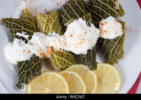 Un piatto placcati di Turco Sarma/Dolma, foglie di verza farcito con gustosa/riso salato che può essere servito caldo o freddo. Foto Stock