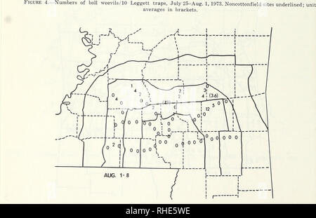 . Boll curculione soppressione, gestione e tecnologia di eliminazione : atti di una conferenza, febbraio 13-15, 1974, Memphis, Tennessee. Boll curculione, controllo congressi. 106 figura 5.-numeri di boll curculioni/5 Leggett trappole, 1-8 agosto, 1973. Unità in staffe.. Si prega di notare che queste immagini vengono estratte dalla pagina sottoposta a scansione di immagini che possono essere state migliorate digitalmente per la leggibilità - Colorazione e aspetto di queste illustrazioni potrebbero non perfettamente assomigliano al lavoro originale. I. Ricerca su Boll curculione di soppressione e tecnologia di eliminazione e II. Boll curculione di gestione ed eliminazione St Foto Stock