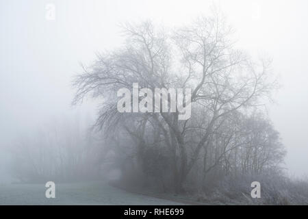 Un terribilmente freddo inverno mattina a Colwick Park di NOTTINGHAM, NOTTINGHAMSHIRE REGNO UNITO Inghilterra Foto Stock