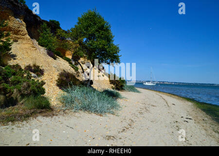 RSPB Arne Riserva Naturale e il porto di Poole, Dorset, England, Regno Unito Foto Stock