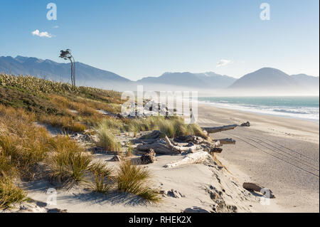 Jackson Bay Okahu Nuova Zelanda Foto Stock