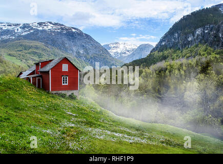 Red cottage di legno nella valle di nebbia. Verde erba, fiori di colore bianco. Pietra montagne innevate. Stalheim, Norvegia. Nebbia. Foto Stock