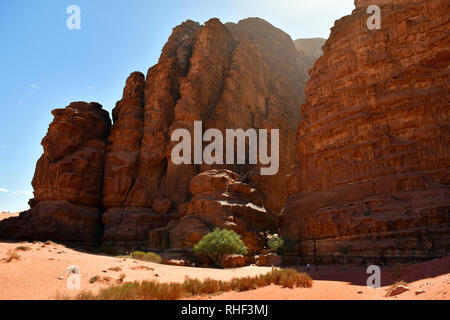 Red Rock Canyon Khazali nel deserto a Wadi Rum. L'area protetta elencati come patrimonio mondiale dall' UNESCO, Giordania Foto Stock