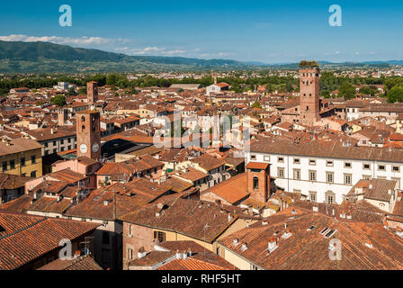 Vista aerea di Lucca, in Toscana; la torre sulla destra è chiamato 'Torre Guinigi' Foto Stock